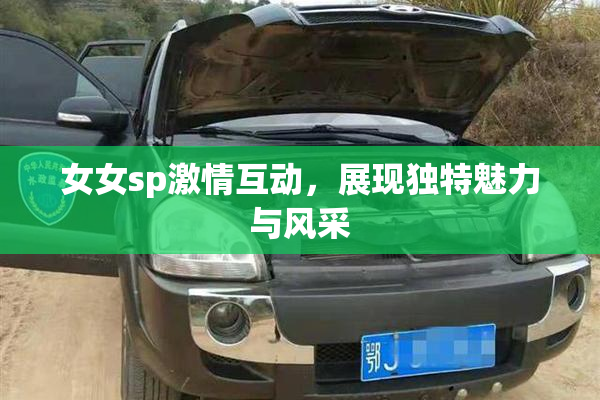 女女sp激情互动，展现独特魅力与风采