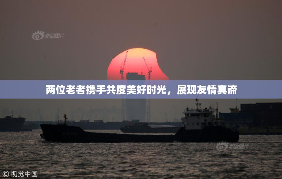 两位老者携手共度美好时光，展现友情真谛