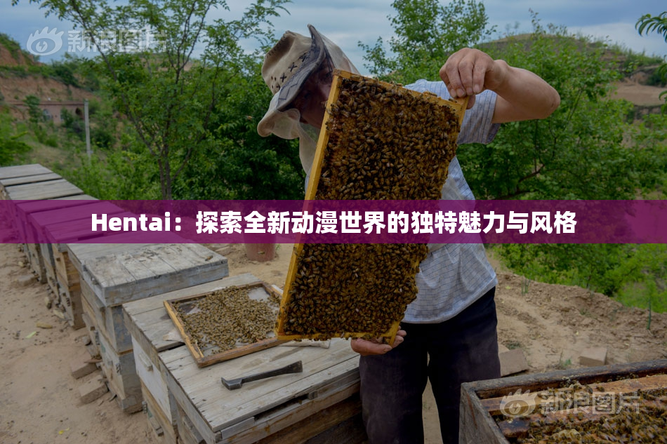 Hentai：探索全新动漫世界的独特魅力与风格