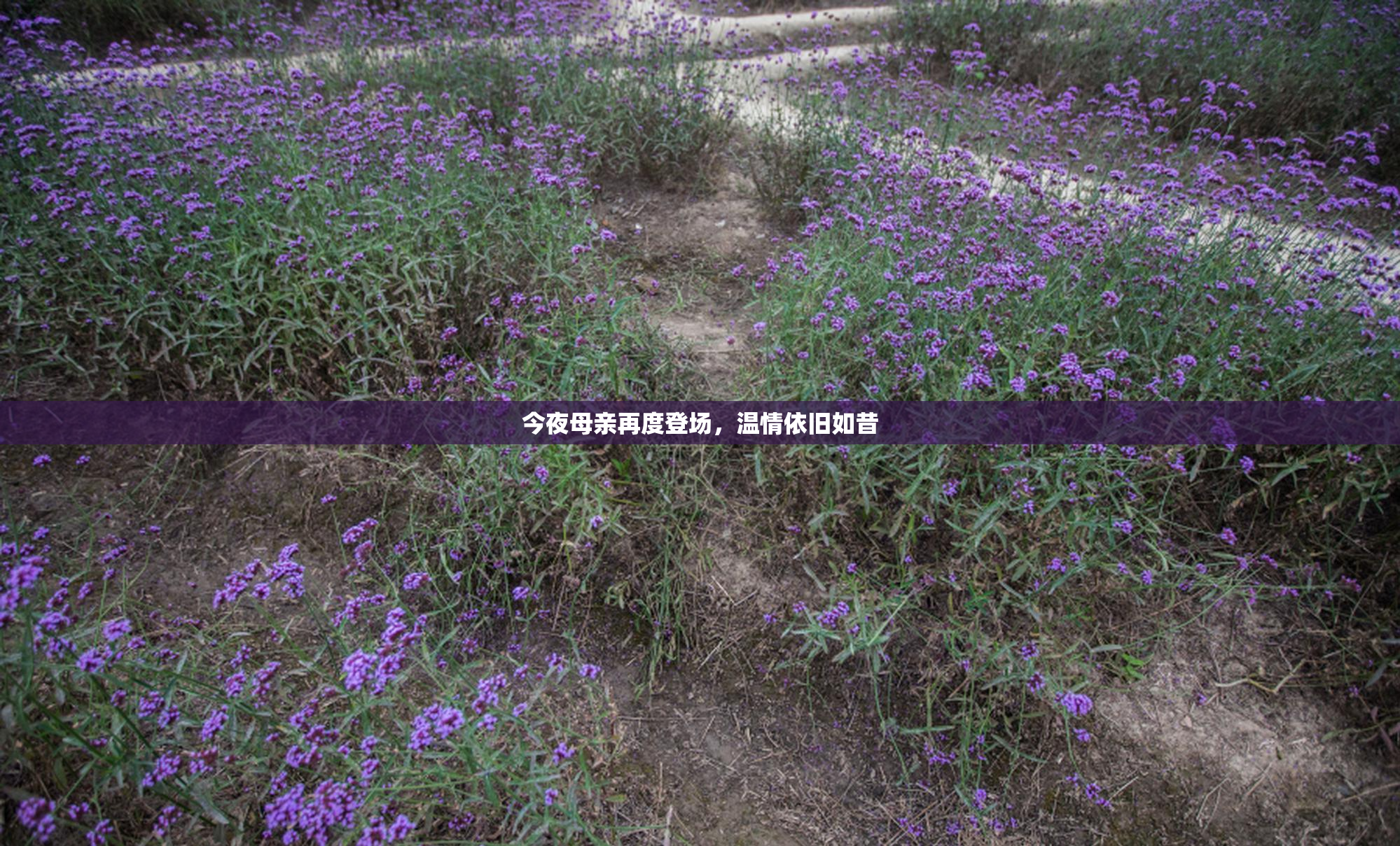 今夜母亲再度登场，温情依旧如昔
