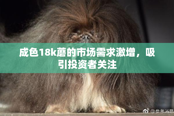 成色18k蘑的市场需求激增，吸引投资者关注