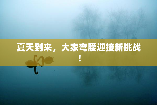 夏天到来，大家弯腰迎接新挑战！