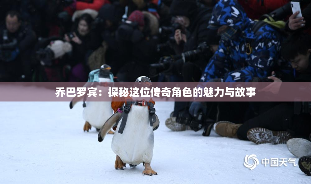 乔巴罗宾：探秘这位传奇角色的魅力与故事
