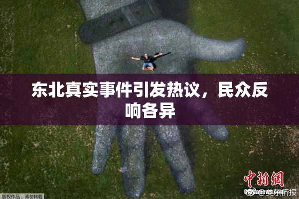 东北真实事件引发热议，民众反响各异