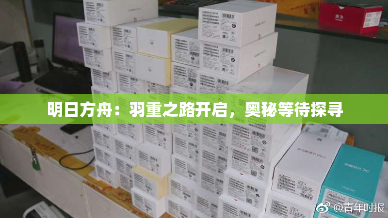 明日方舟：羽重之路开启，奥秘等待探寻