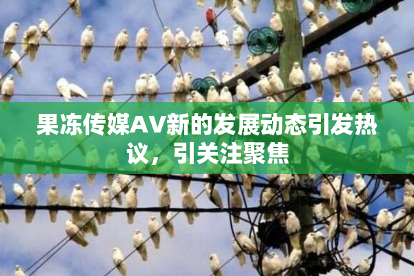 果冻传媒AV新的发展动态引发热议，引关注聚焦