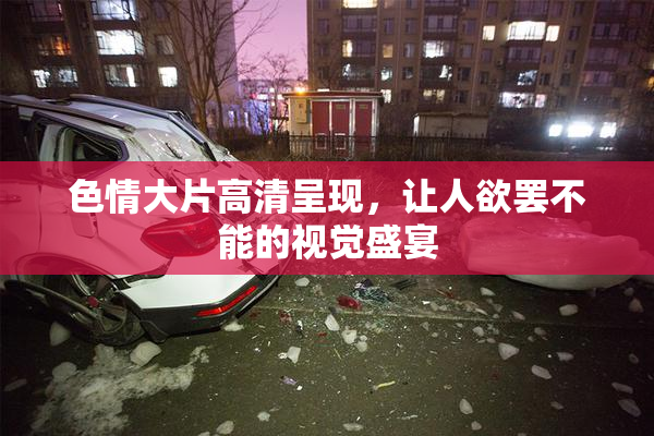 色情大片高清呈现，让人欲罢不能的视觉盛宴
