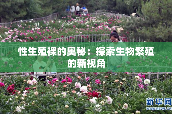 性生殖裸的奥秘：探索生物繁殖的新视角