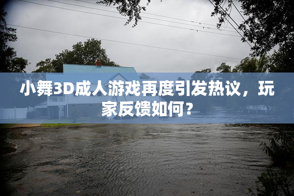 小舞3D成人游戏再度引发热议，玩家反馈如何？