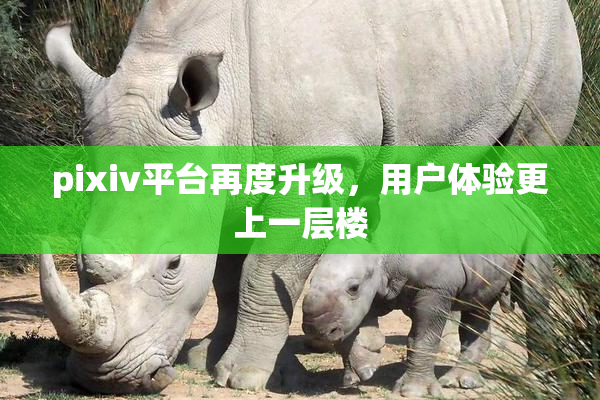 pixiv平台再度升级，用户体验更上一层楼