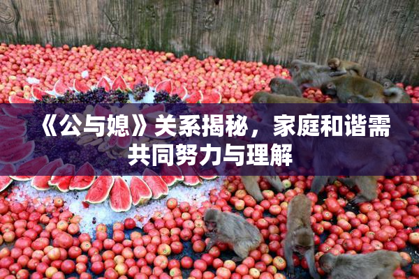 《公与媳》关系揭秘，家庭和谐需共同努力与理解