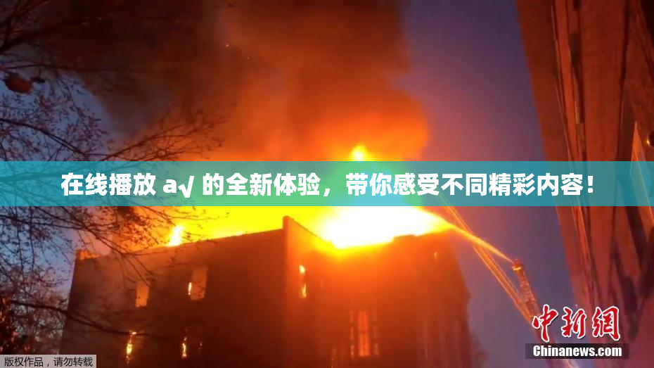 在线播放 a√ 的全新体验，带你感受不同精彩内容！