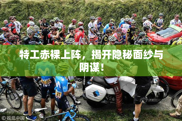 特工赤裸上阵，揭开隐秘面纱与阴谋！