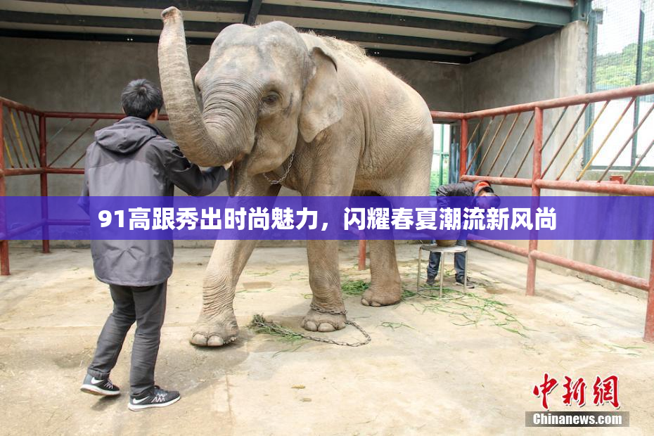 91高跟秀出时尚魅力，闪耀春夏潮流新风尚