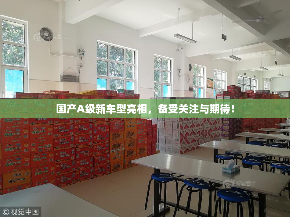 国产A级新车型亮相，备受关注与期待！