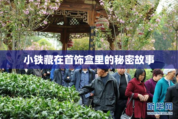 小铁藏在首饰盒里的秘密故事