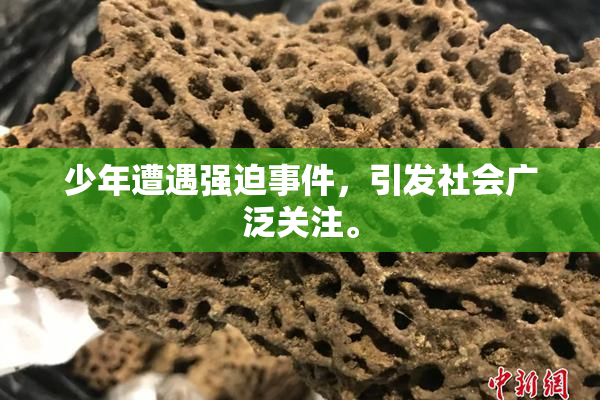 少年遭遇强迫事件，引发社会广泛关注。