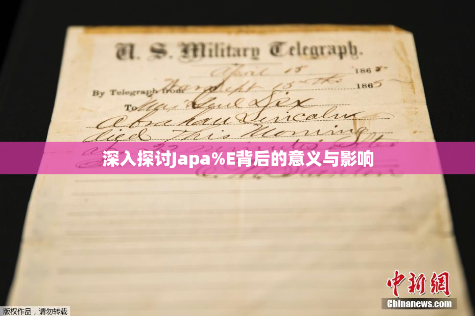 深入探讨Japa%E背后的意义与影响