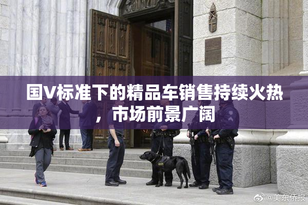 国V标准下的精品车销售持续火热，市场前景广阔
