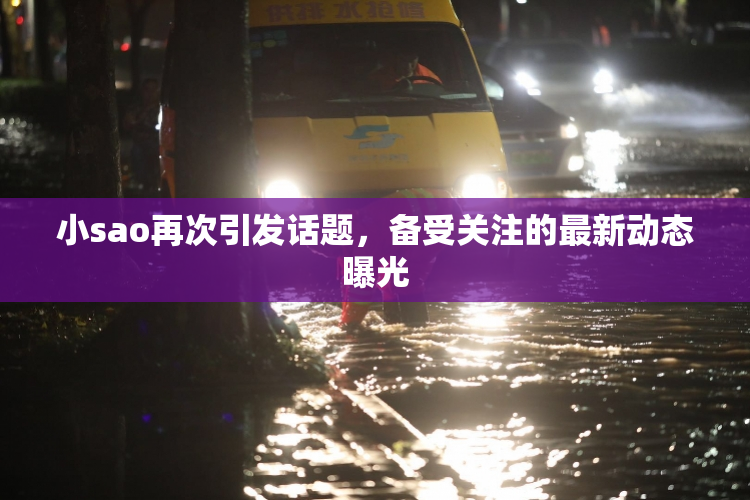 小sao再次引发话题，备受关注的最新动态曝光