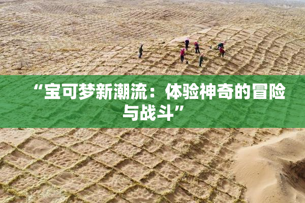 “宝可梦新潮流：体验神奇的冒险与战斗”
