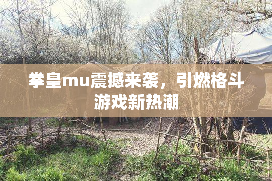 拳皇mu震撼来袭，引燃格斗游戏新热潮