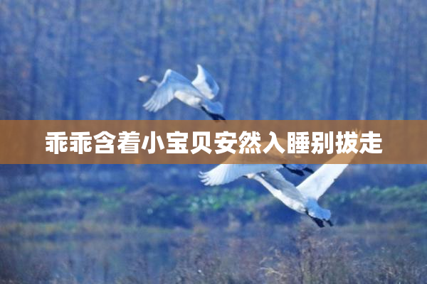 乖乖含着小宝贝安然入睡别拔走
