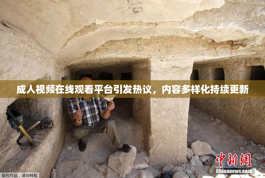 成人视频在线观看平台引发热议，内容多样化持续更新