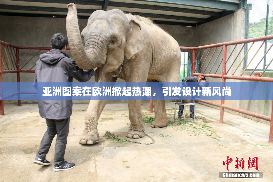 亚洲图案在欧洲掀起热潮，引发设计新风尚