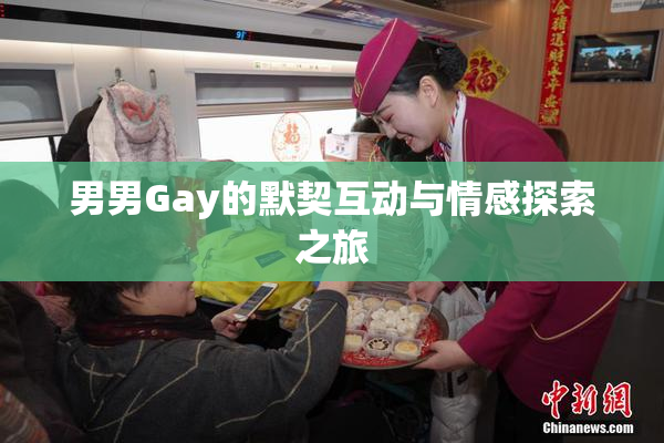 男男Gay的默契互动与情感探索之旅