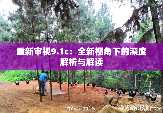 重新审视9.1c：全新视角下的深度解析与解读