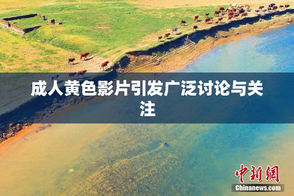 成人黄色影片引发广泛讨论与关注