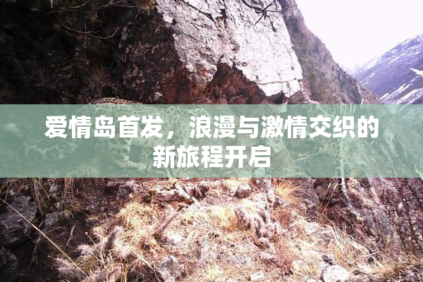爱情岛首发，浪漫与激情交织的新旅程开启