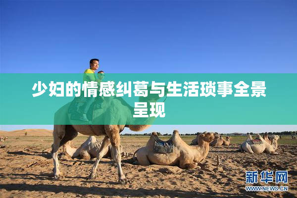 少妇的情感纠葛与生活琐事全景呈现