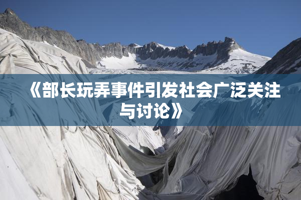 《部长玩弄事件引发社会广泛关注与讨论》