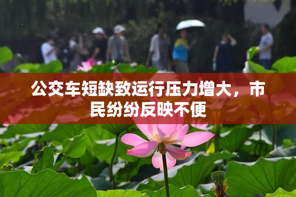 公交车短缺致运行压力增大，市民纷纷反映不便