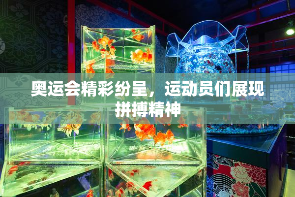 奥运会精彩纷呈，运动员们展现拼搏精神