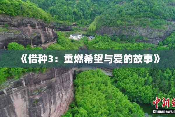 《借种3：重燃希望与爱的故事》
