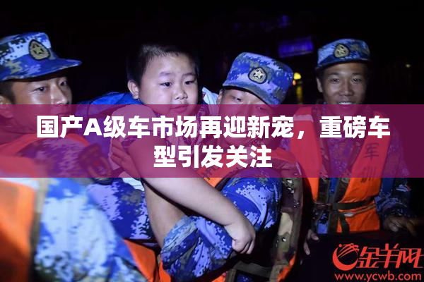 国产A级车市场再迎新宠，重磅车型引发关注
