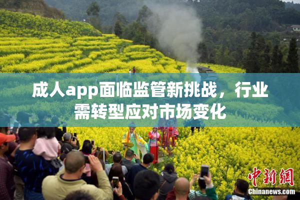 成人app面临监管新挑战，行业需转型应对市场变化