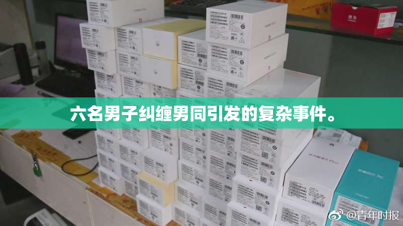 六名男子纠缠男同引发的复杂事件。