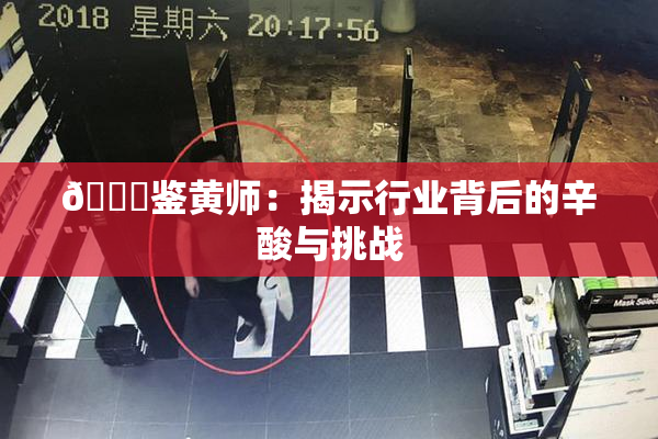 🔞鉴黄师：揭示行业背后的辛酸与挑战