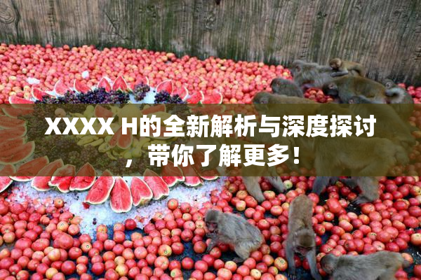 XXXX H的全新解析与深度探讨，带你了解更多！