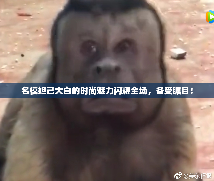 名模妲己大白的时尚魅力闪耀全场，备受瞩目！