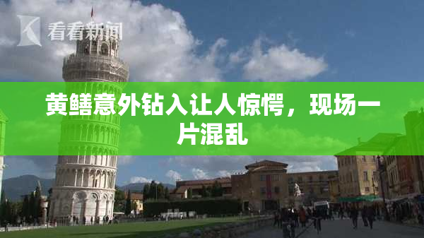 黄鳝意外钻入让人惊愕，现场一片混乱