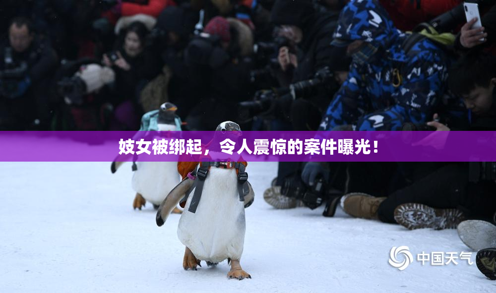 妓女被绑起，令人震惊的案件曝光！