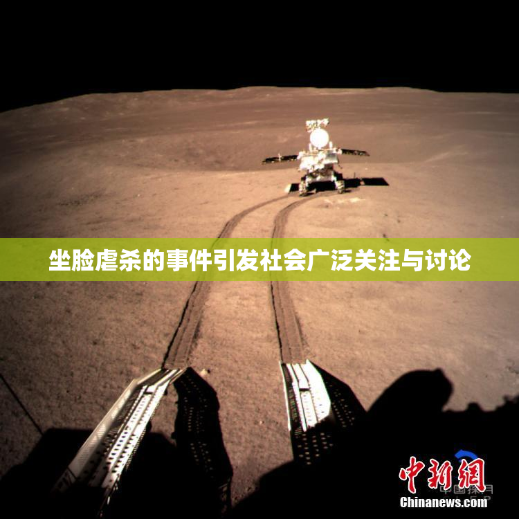 坐脸虐杀的事件引发社会广泛关注与讨论