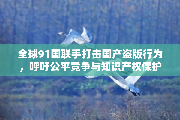 全球91国联手打击国产盗版行为，呼吁公平竞争与知识产权保护