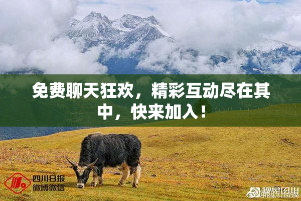 免费聊天狂欢，精彩互动尽在其中，快来加入！