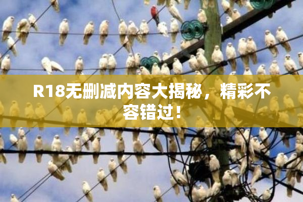 R18无删减内容大揭秘，精彩不容错过！